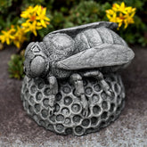 Photo of Campania Honey Bee - Exclusively Campania